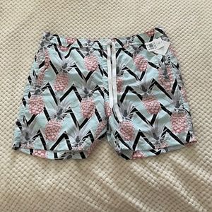 Hawaii Five-O Davin Swim Shorts - Teal with Pink Pineapples - Size 2X
